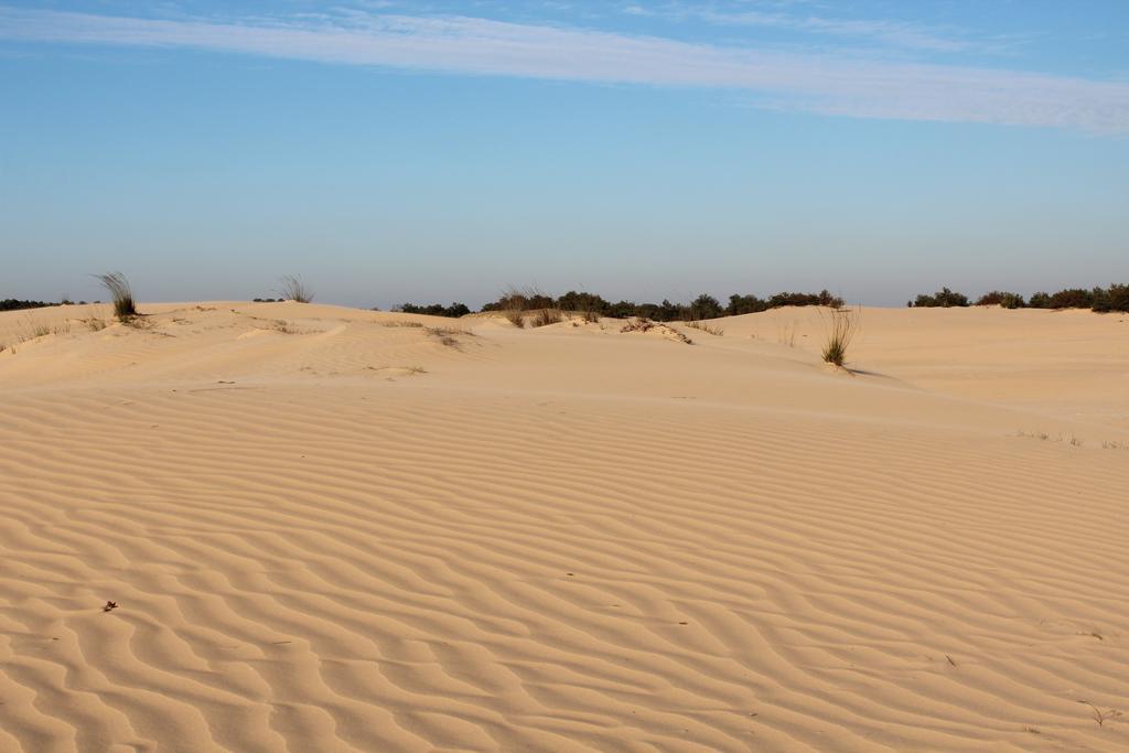 Natuurpoort Van Loon Loon op Zand Εξωτερικό φωτογραφία