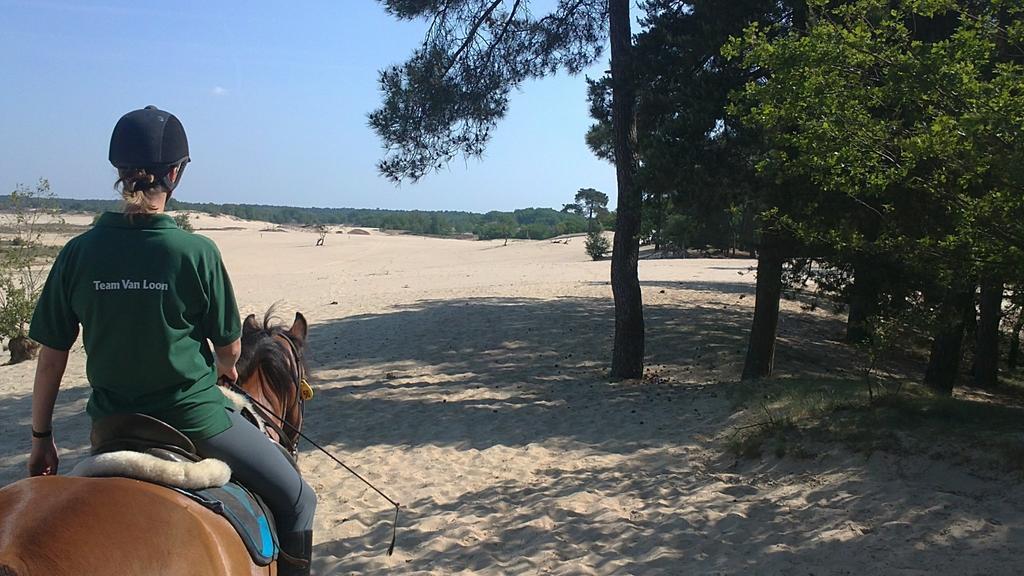 Natuurpoort Van Loon Loon op Zand Εξωτερικό φωτογραφία